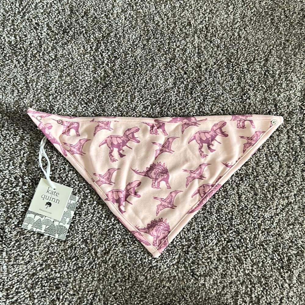 PINK Dino Bandana Bib